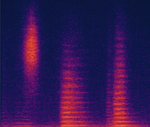 Acoustic Leak Detection